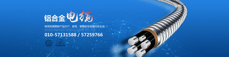 滄州市統(tǒng)計工作規(guī)范化建設推進會在華倫公司順利召開！