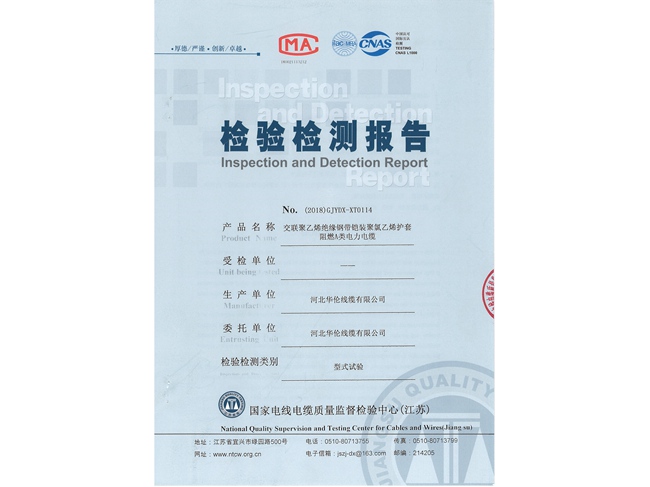 檢驗(yàn)檢測(cè)報(bào)告 