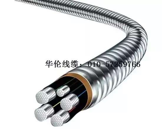 滄州市統(tǒng)計工作規(guī)范化建設(shè)推進會在華倫公司順利召開！