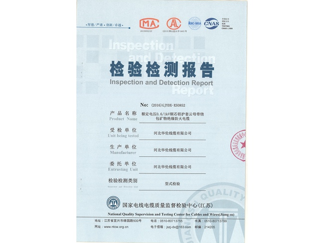 檢驗(yàn)檢測(cè)報(bào)告 